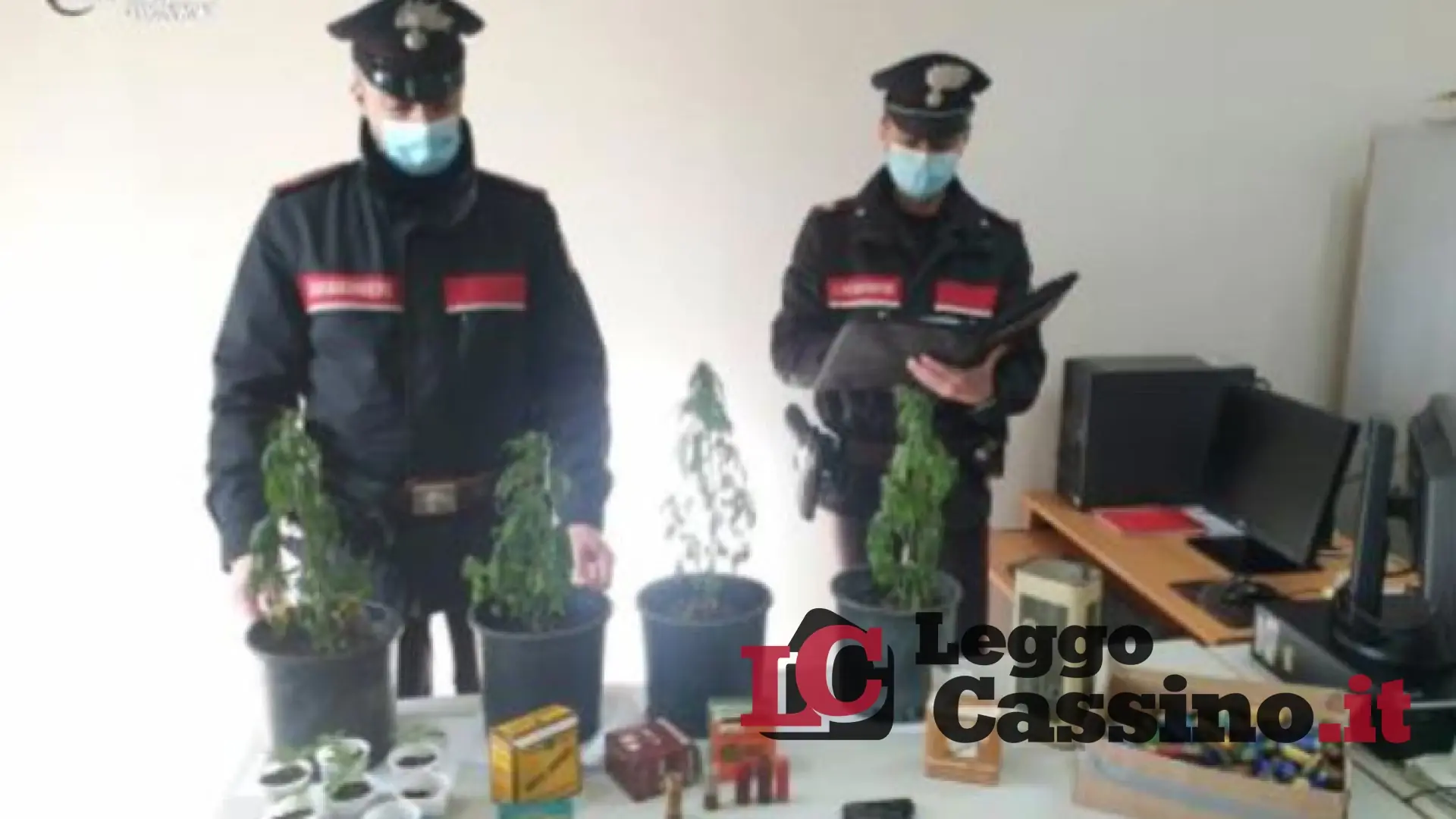 In casa con una coltivazione di droga: un 41enne di Roccasecca finisce nei guai