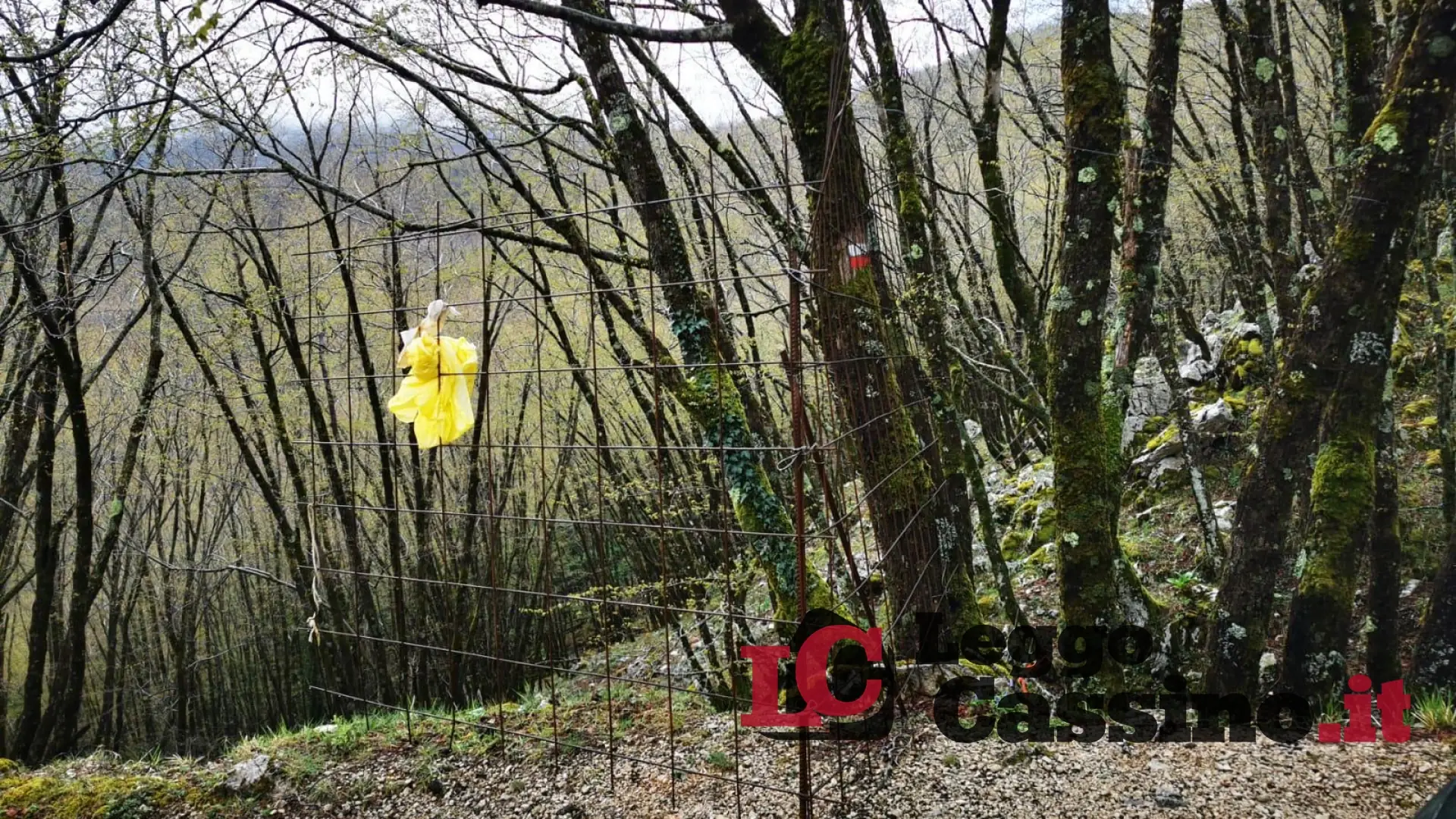 Esperia, rimosso un cancello abusivo. Ecco perchè