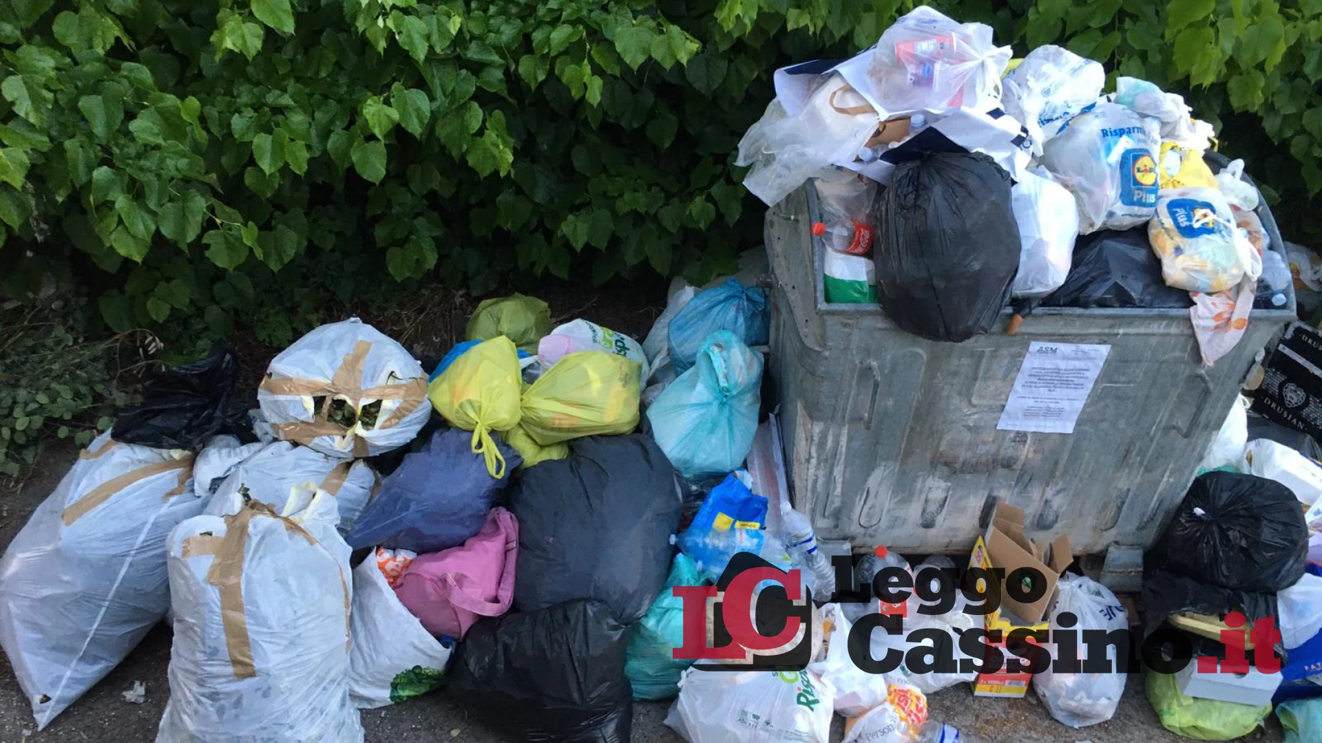 Pontecorvo, cassonetti stracolmi in viale Dante. L'ira di Belli