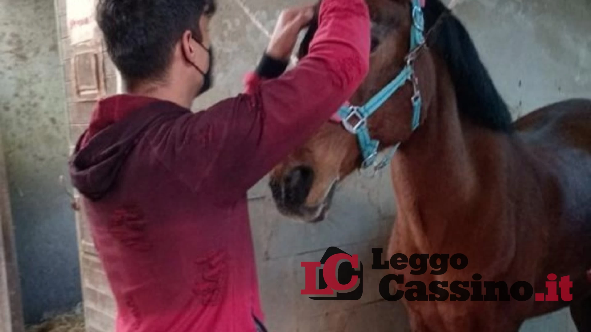 Progetto di Ippoterapia all'IIS Medaglia d'Oro "Città di Cassino"