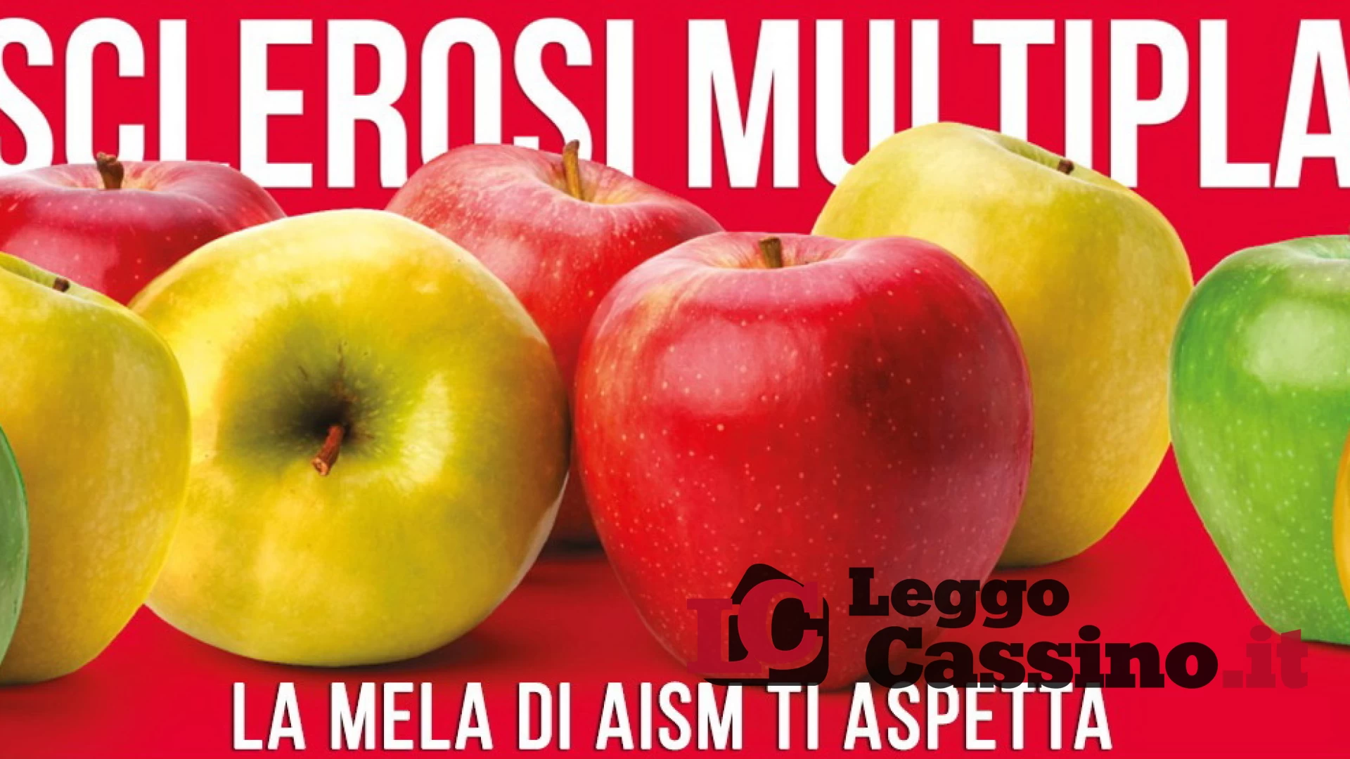 "Facciamo sparire la Sclerosi Multipla. La mela AISM ti aspetta"