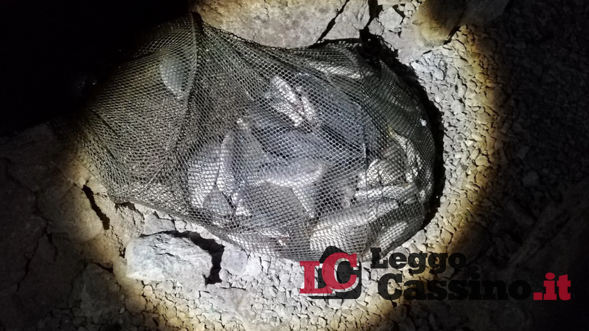 Cinesi pescano carpe illegalmente nel lago di Canterno: scatta il sequestro