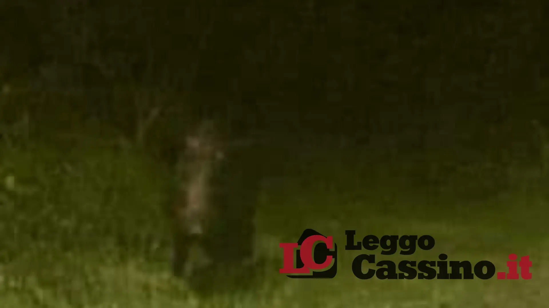 Cassino, tutti in attesa di Mattarella. Tra violenza e cinghiali