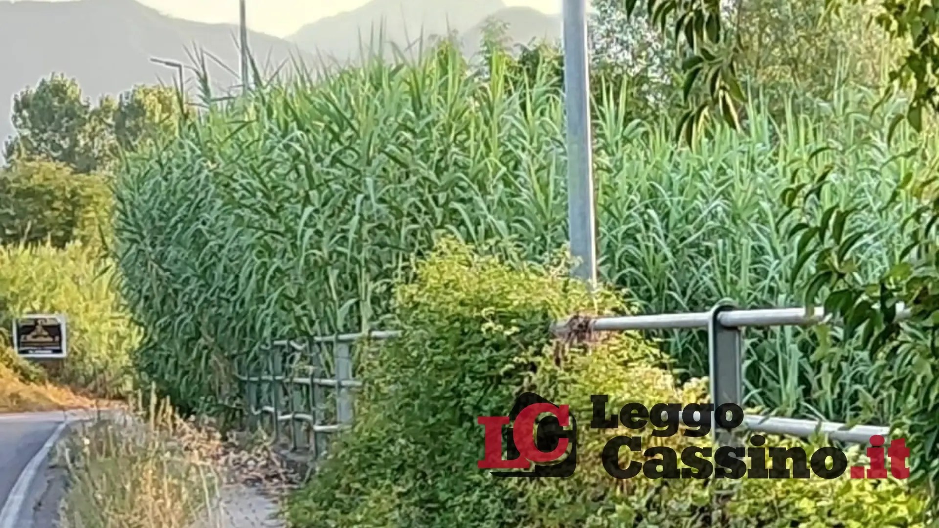 Santa Scolastica, l'odissea inizia lungo il tragitto. Di Mambro lancia l'sos