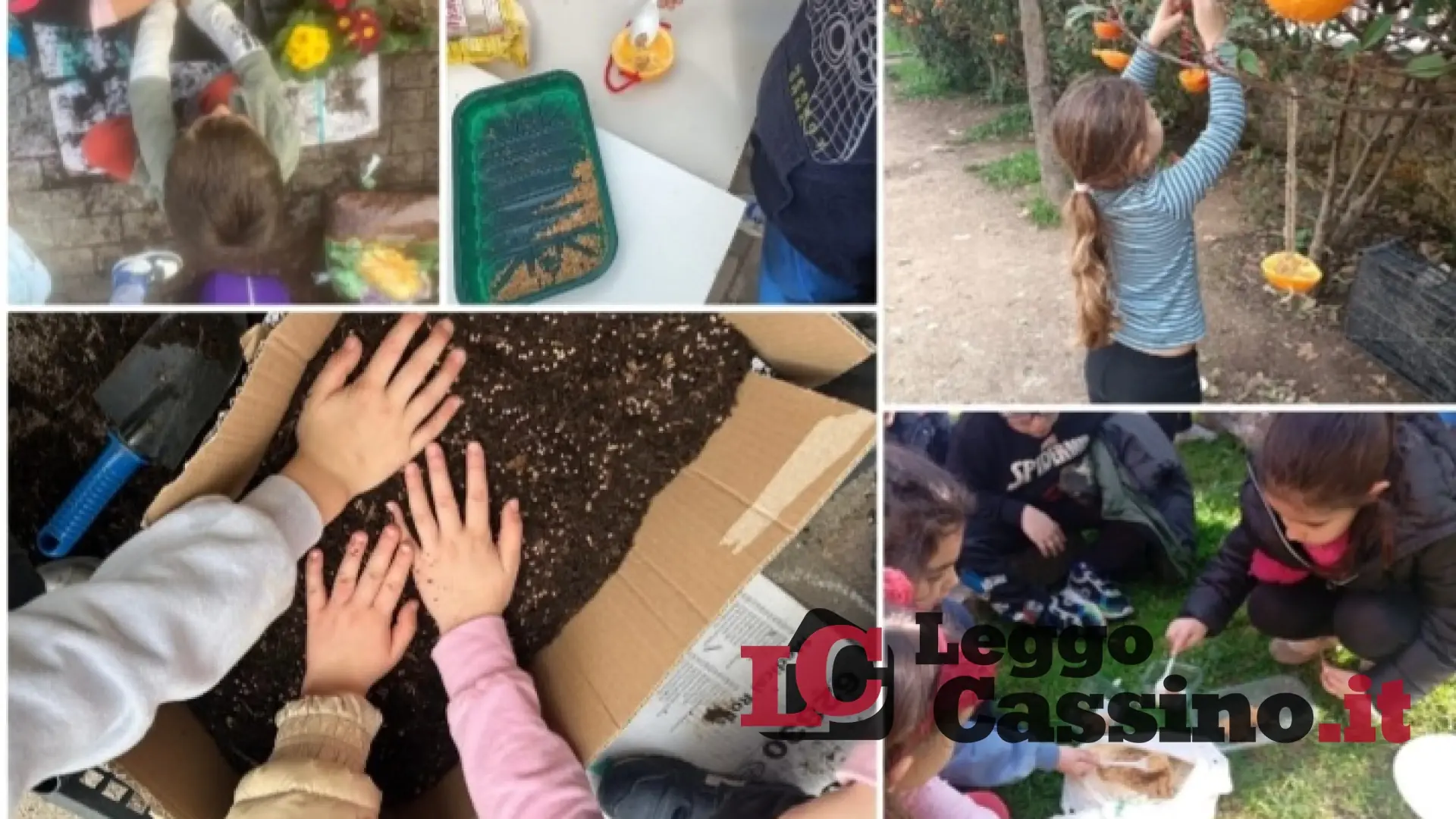 L'I.C. Cassino 3 ha ricordato la Giornata Nazionale della Cura delle persone e del pianeta