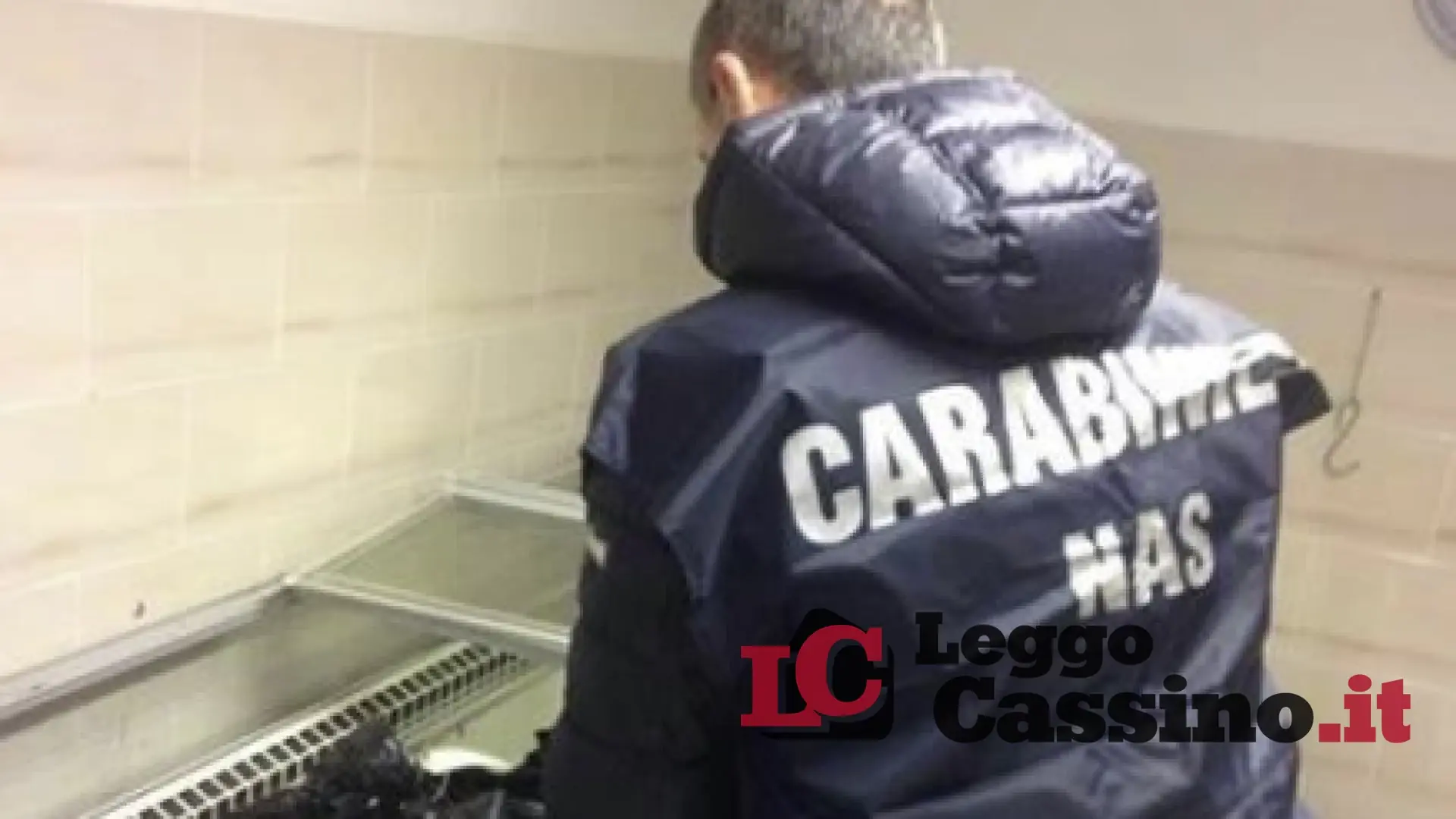 Nas in azione nel Frusinate e nel Pontino: Pasqua amara tra sequestri e sanzioni