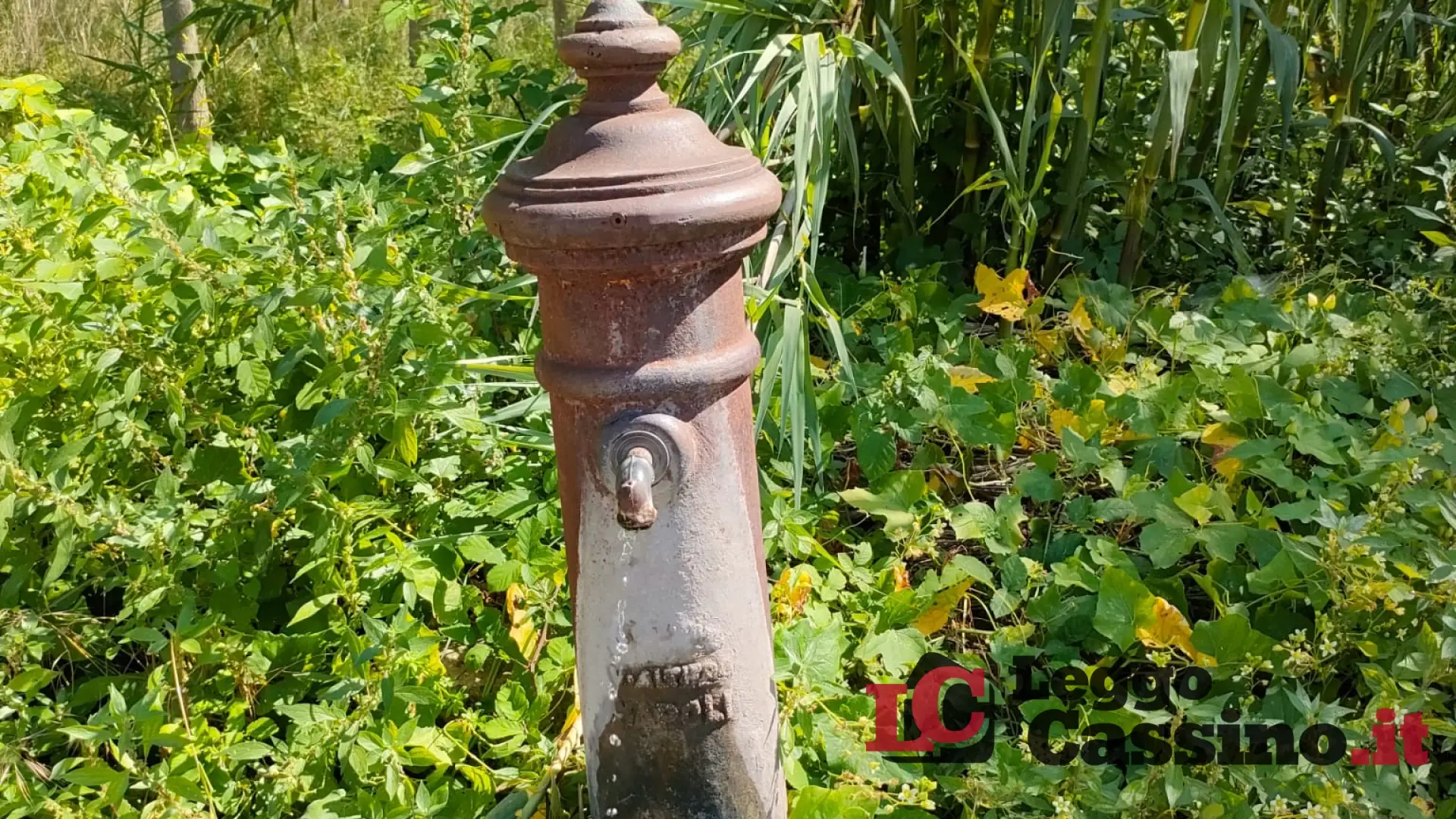 Il cimitero monumentale di Cassino tra degrado, erbacce e la fontana "assetata"