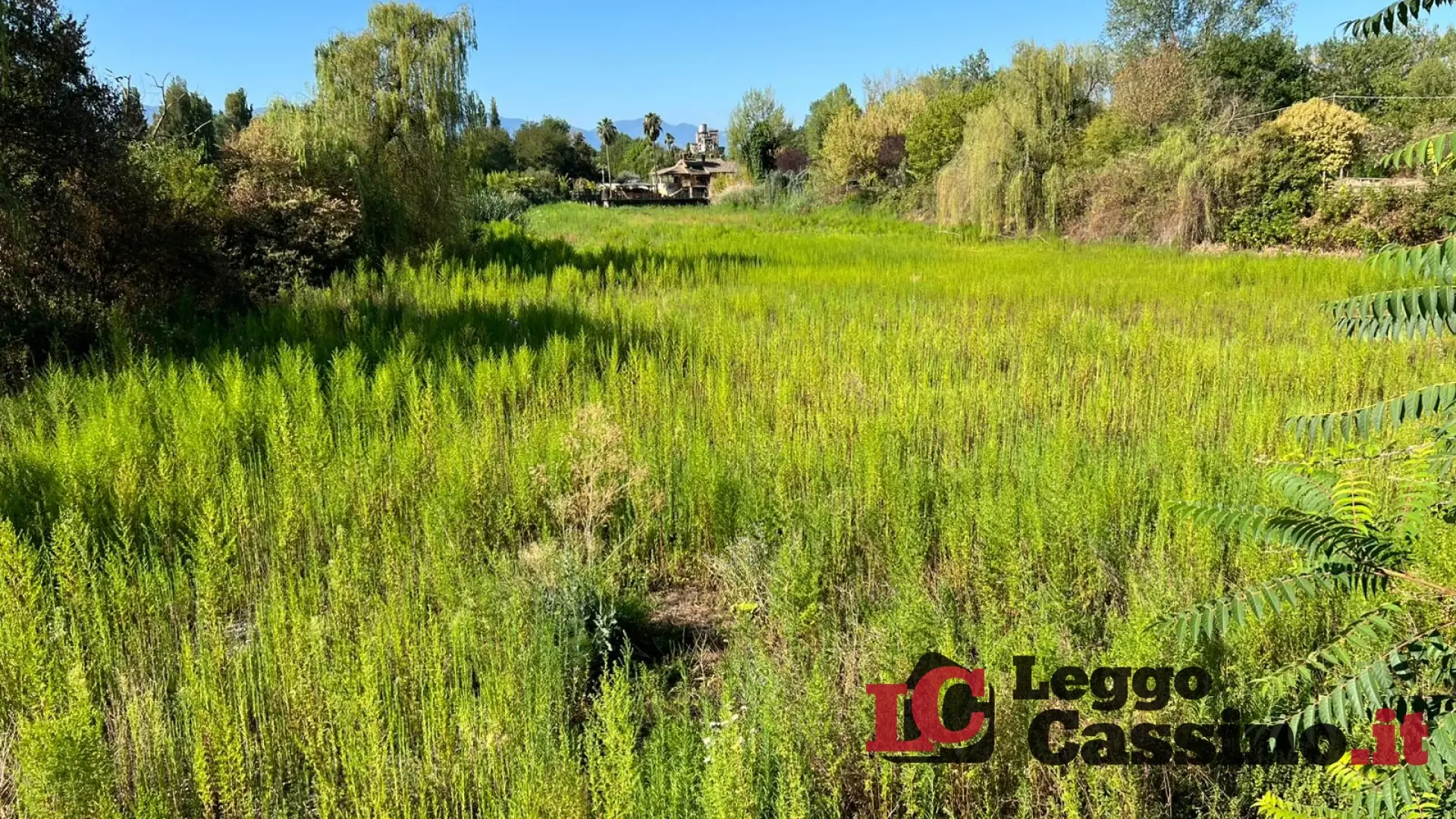 Castrocielo, laghetto di Capo d'acqua: a breve i lavori di pulizia del bacino