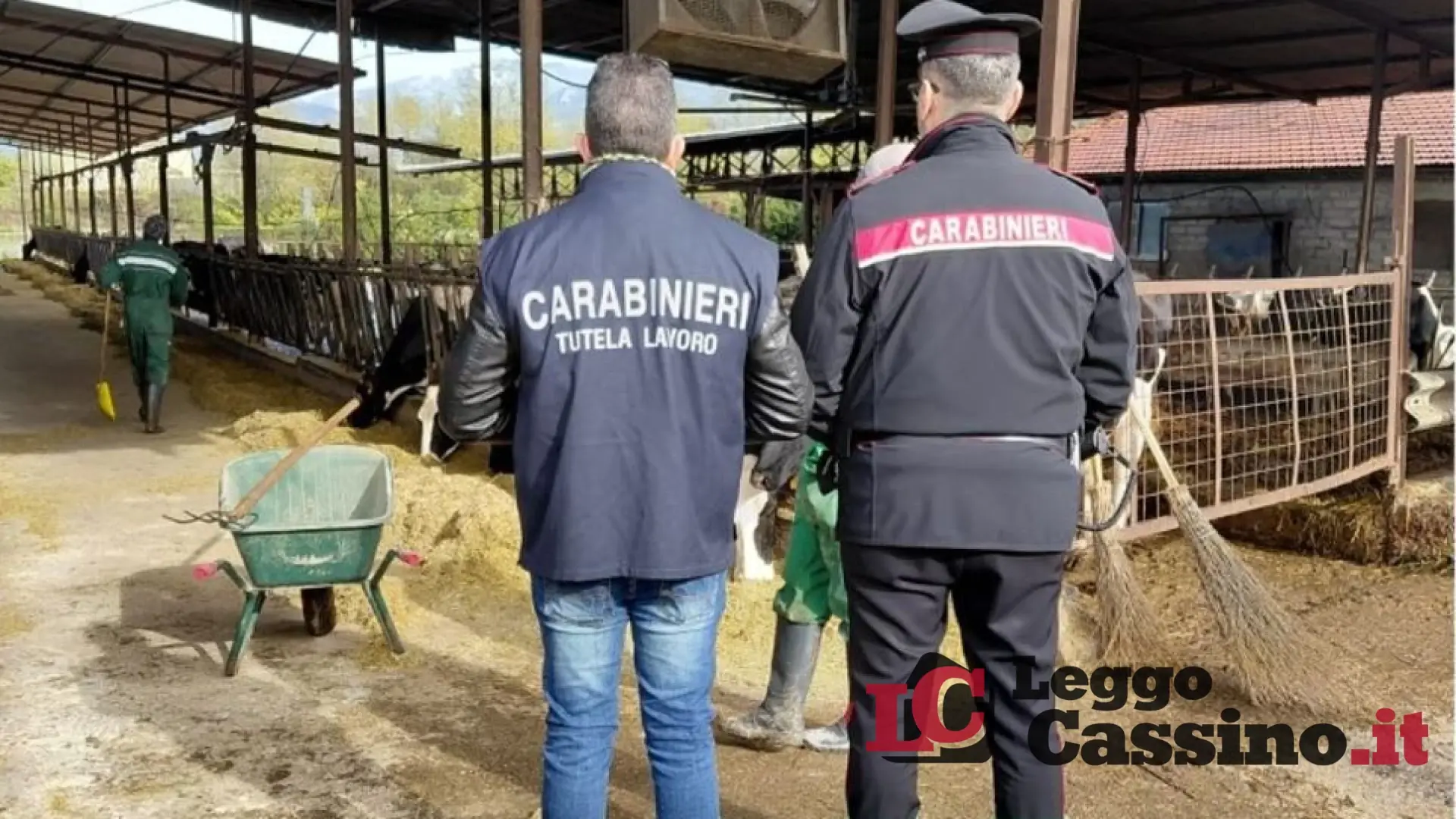 Roccasecca, maxi-ispezione in un'azienda agricola: scattano i sigilli per lavoro nero e gravi carenze igieniche