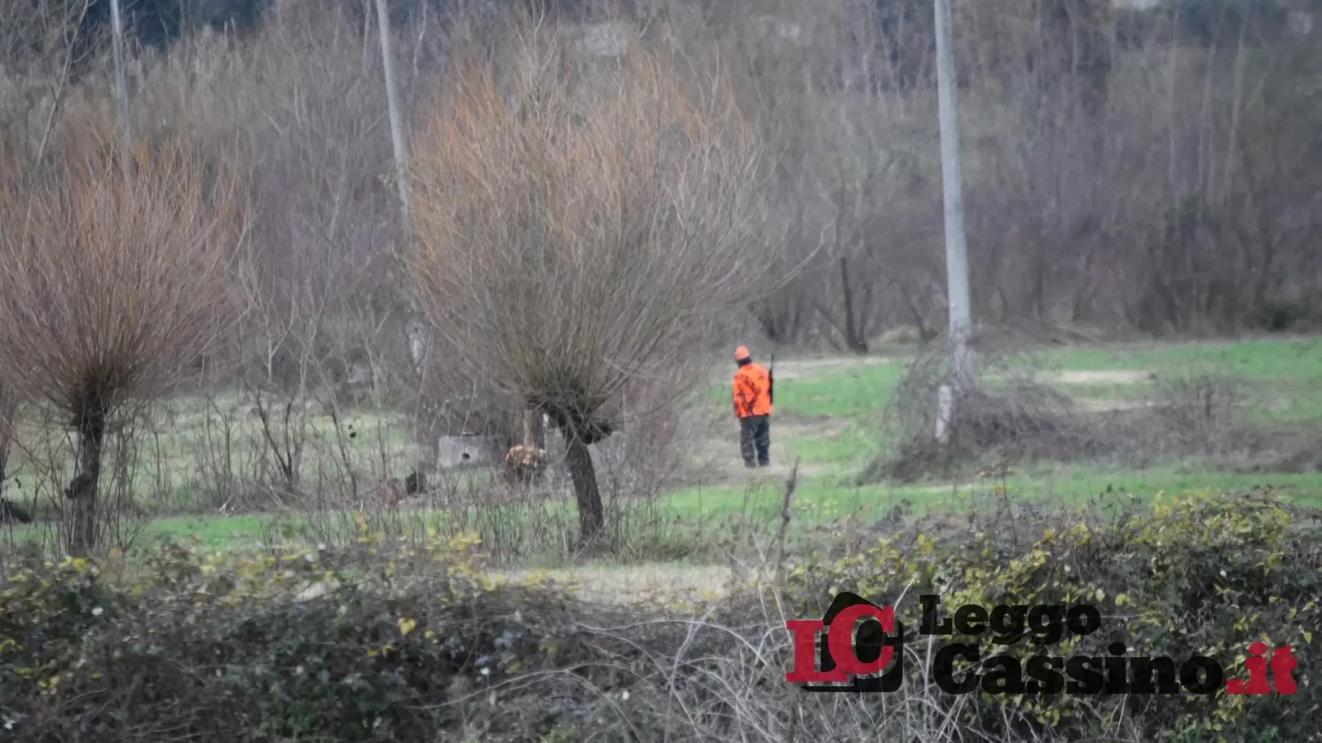 Cacciatore ucciso da un cinghiale: addio a Luigi Rotondo, il 'falegname' di Sant'Angelo