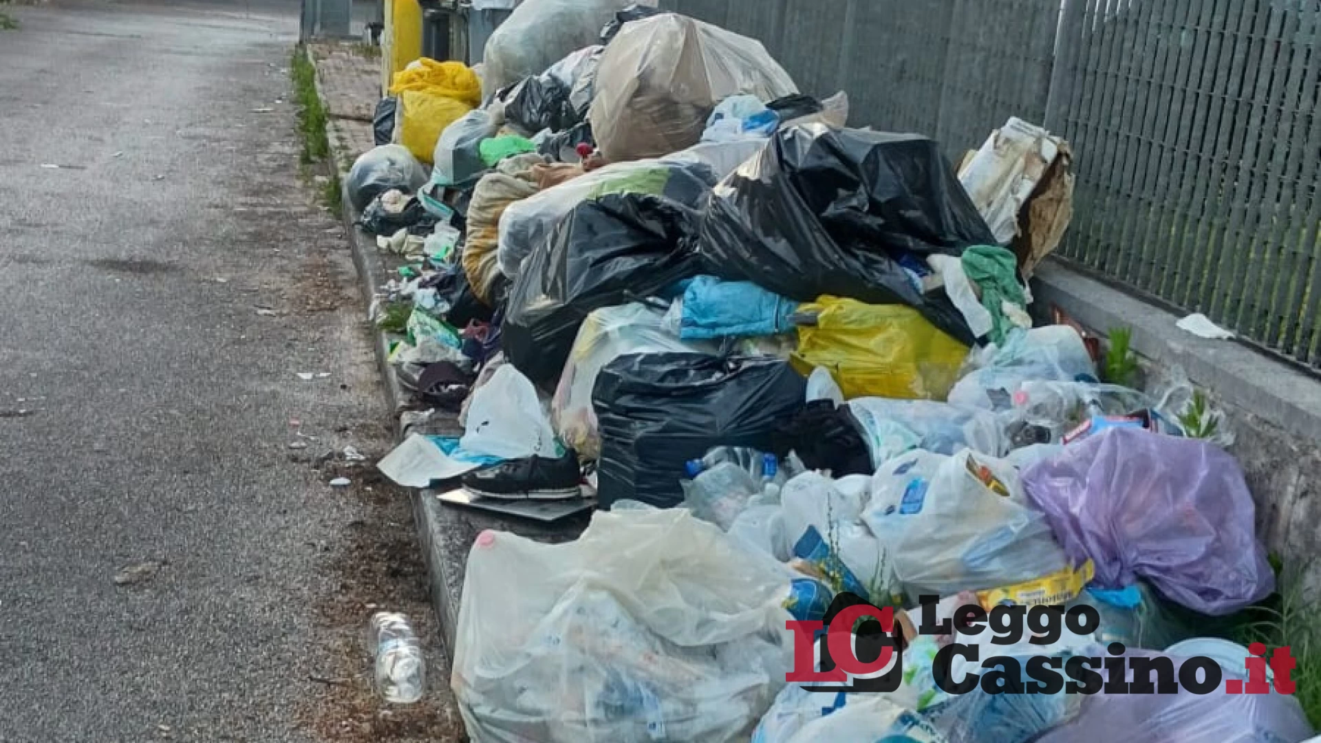 Cassino, discarica abusiva e alberi pericolanti a San Bartolomeo: l'allarme della Guardia Agroforestale