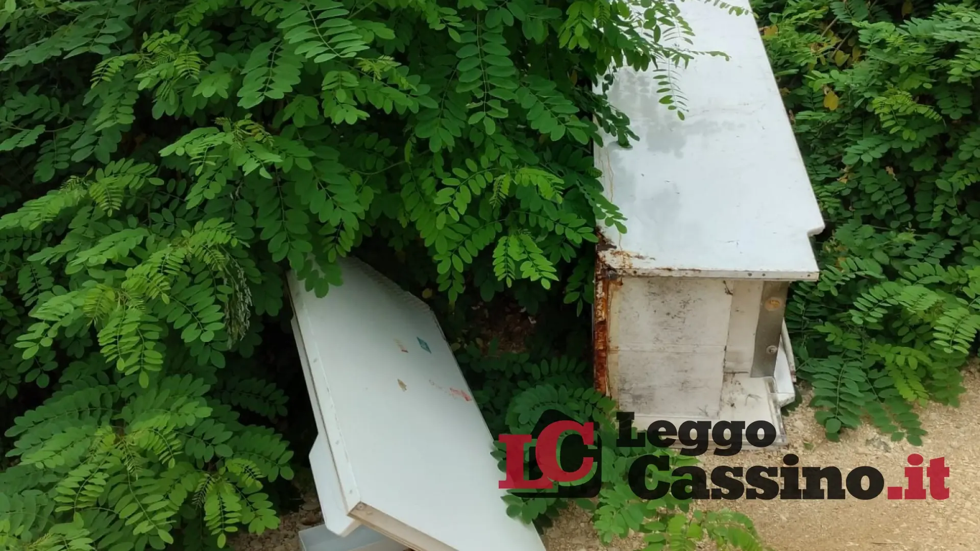 "Zozzoni" ancora in azione: dopo la bonifica, spuntano i rifiuti