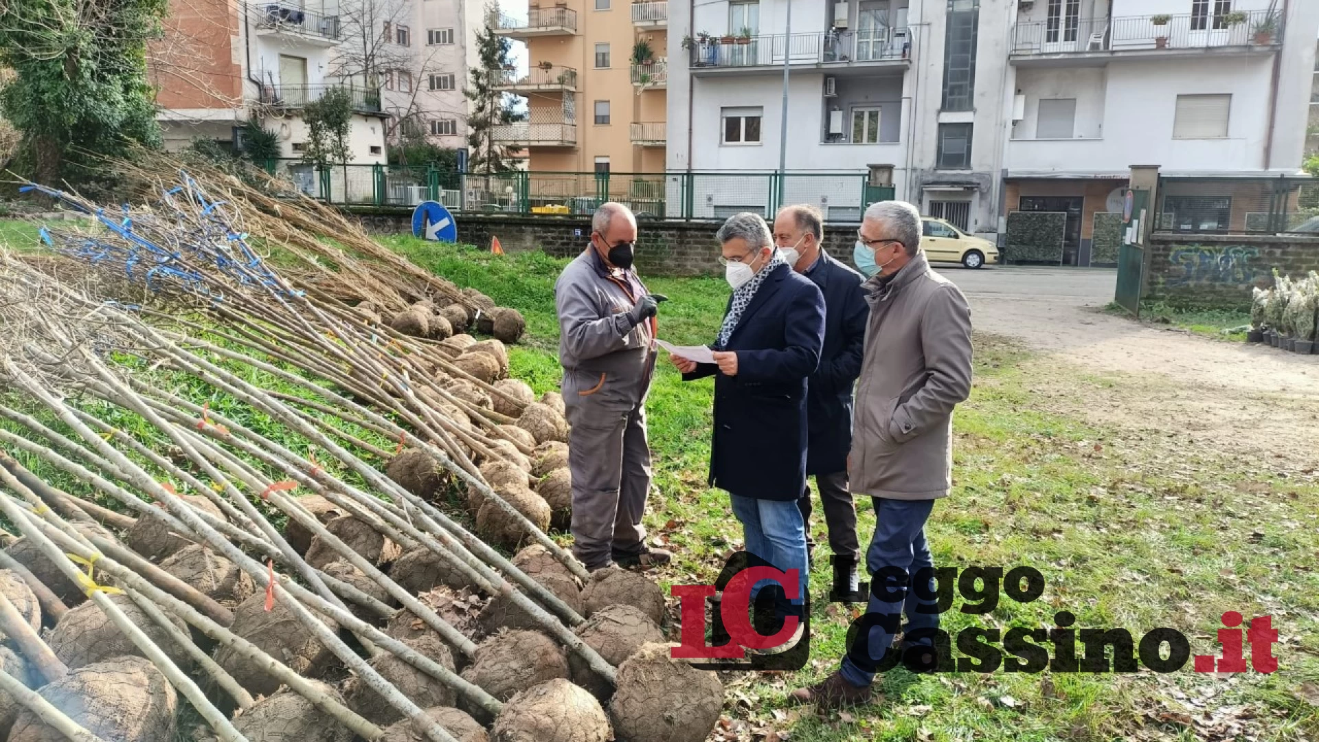 Cassino, ecco 300 alberi nella villa comunale e al parco Baden Powell