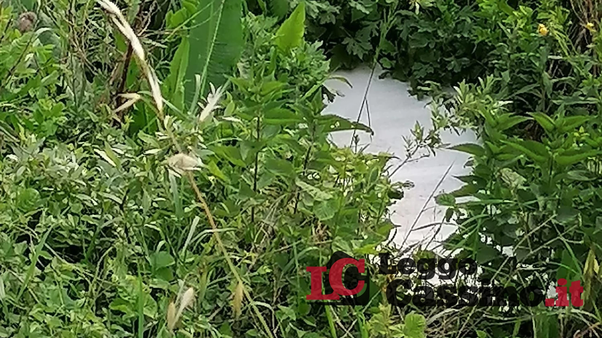 Schiuma bianca nel Rapido, sos a Cassino