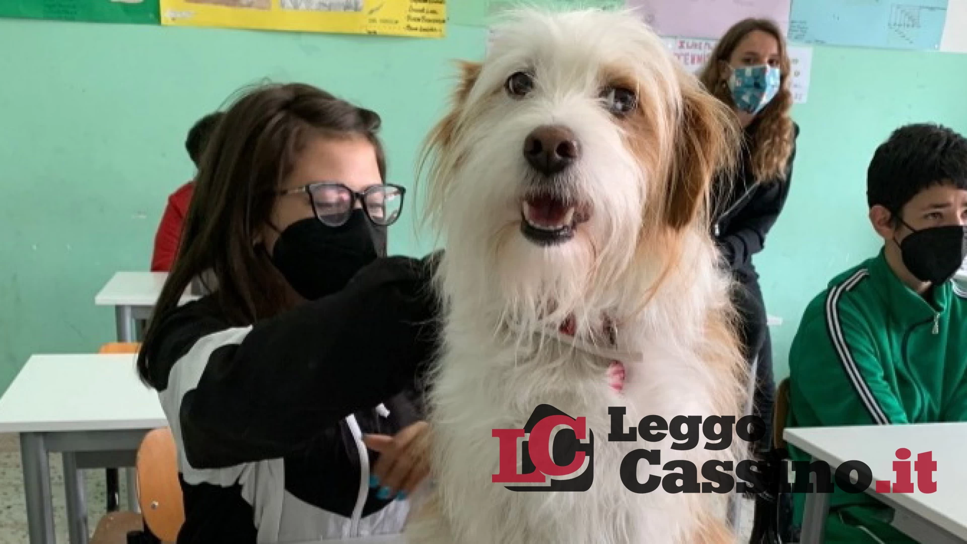 "La Pet Therapy e gli stati emotivi" all'IIS Medaglia d'Oro "Città di Cassino"