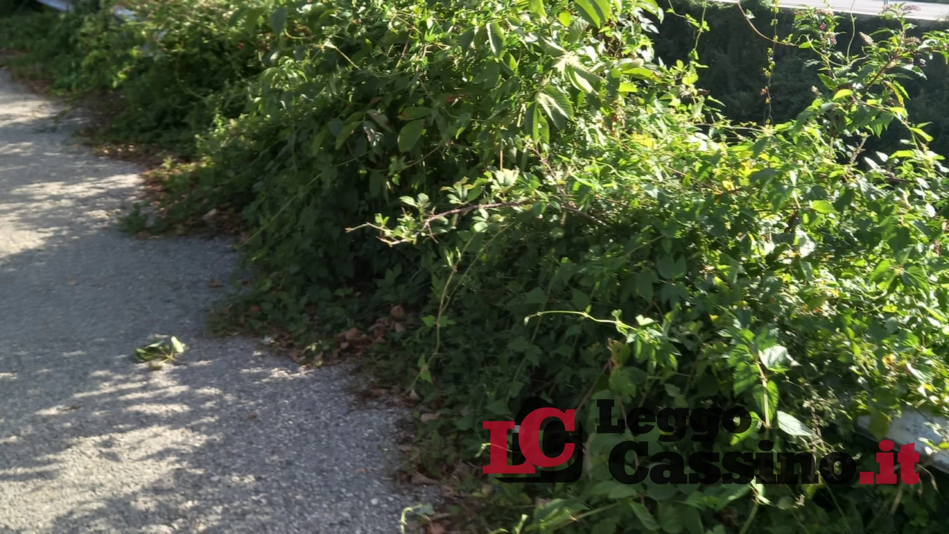 Cassino, pista ciclo-pedonale Lungofiume nel degrado