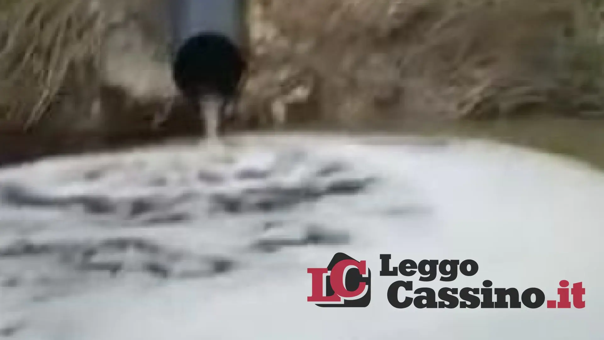 Fiume Melfa, sversamenti e moria di pesci. Scatta l'allarme