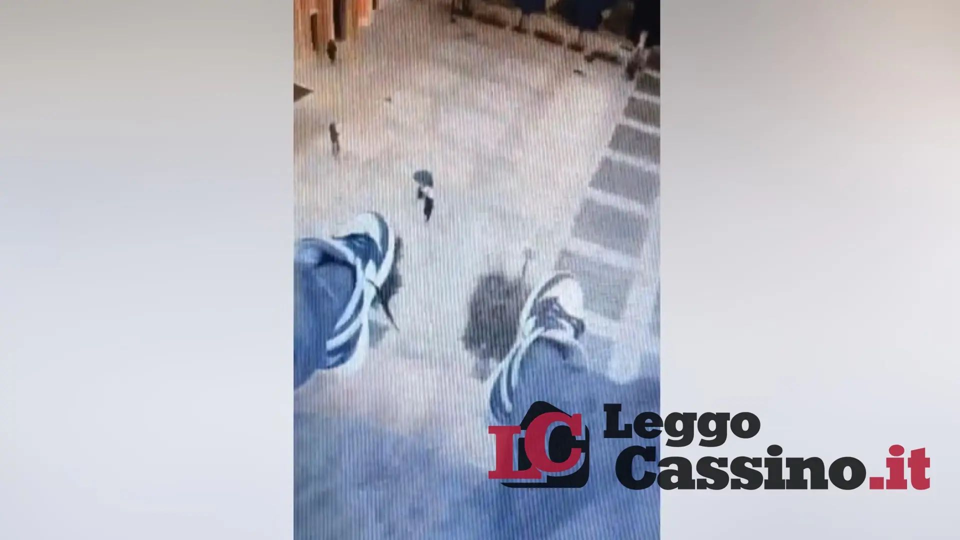 Nuova pericolosa challange a Cassino: video choc in piazza Diamare