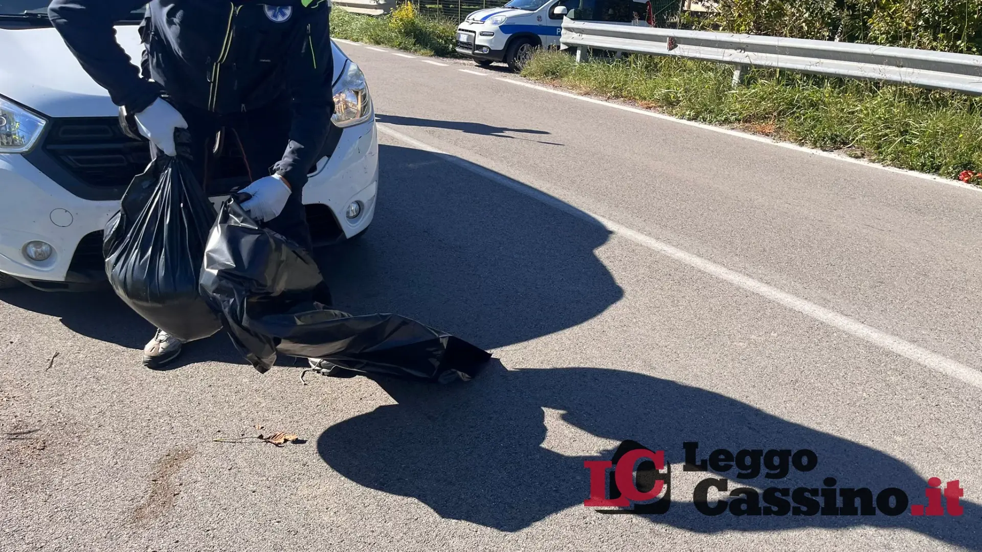 Cinghiali investiti sulle strade: due casi in poche ore nel cassinate