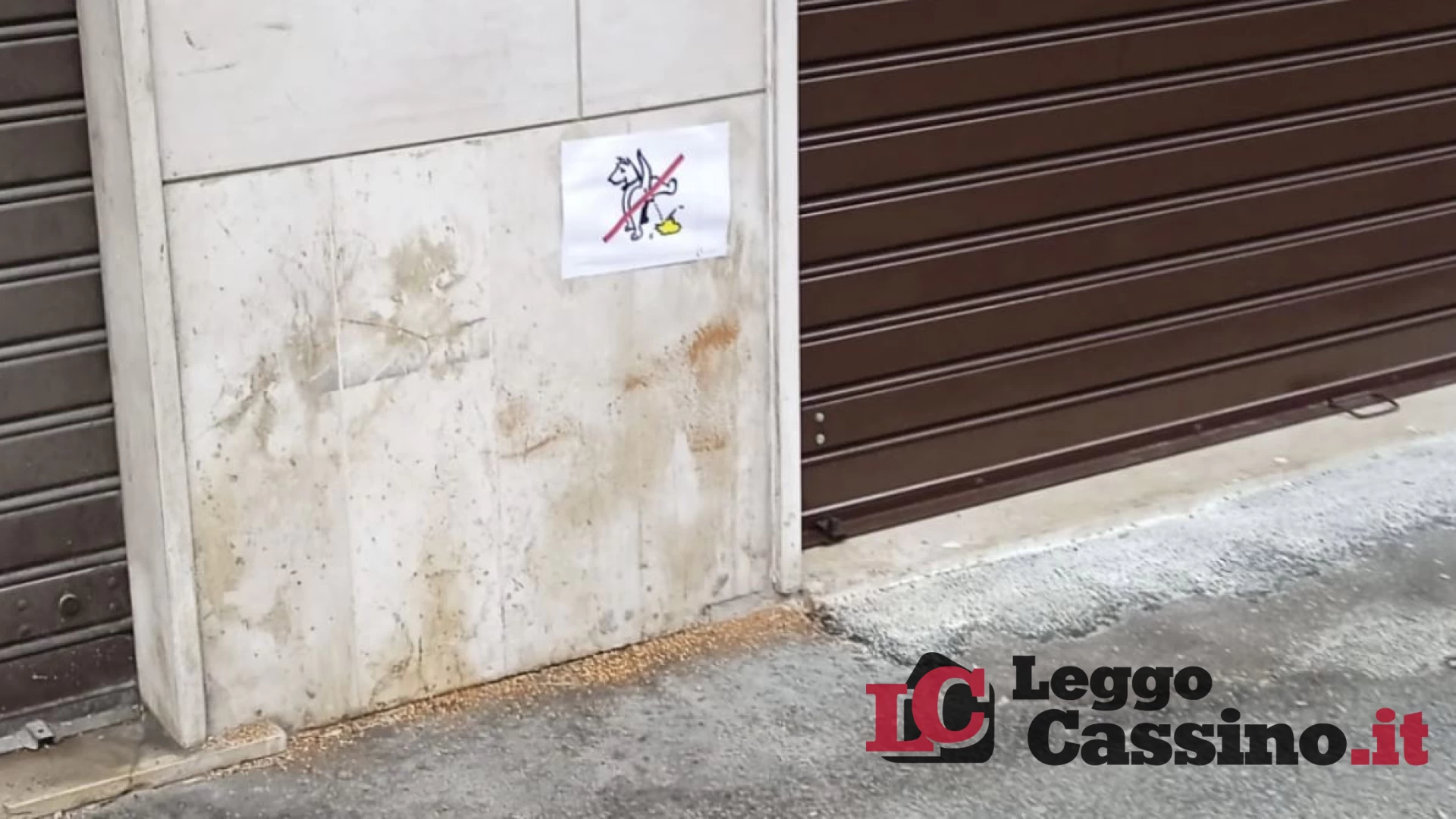 Cassino, "trappole" al peperoncino in via Leopardi: è guerra tra residenti e proprietari di cani