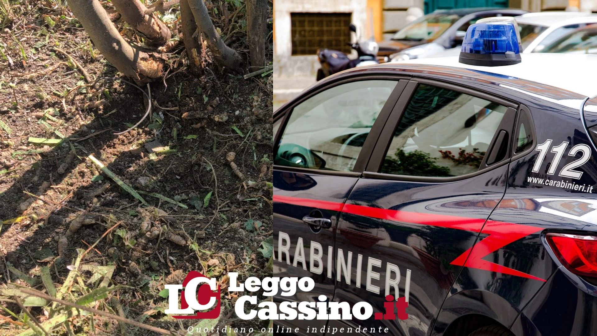 Cervaro, bomba carta contro un'abitazione in zona Foresta: è...
