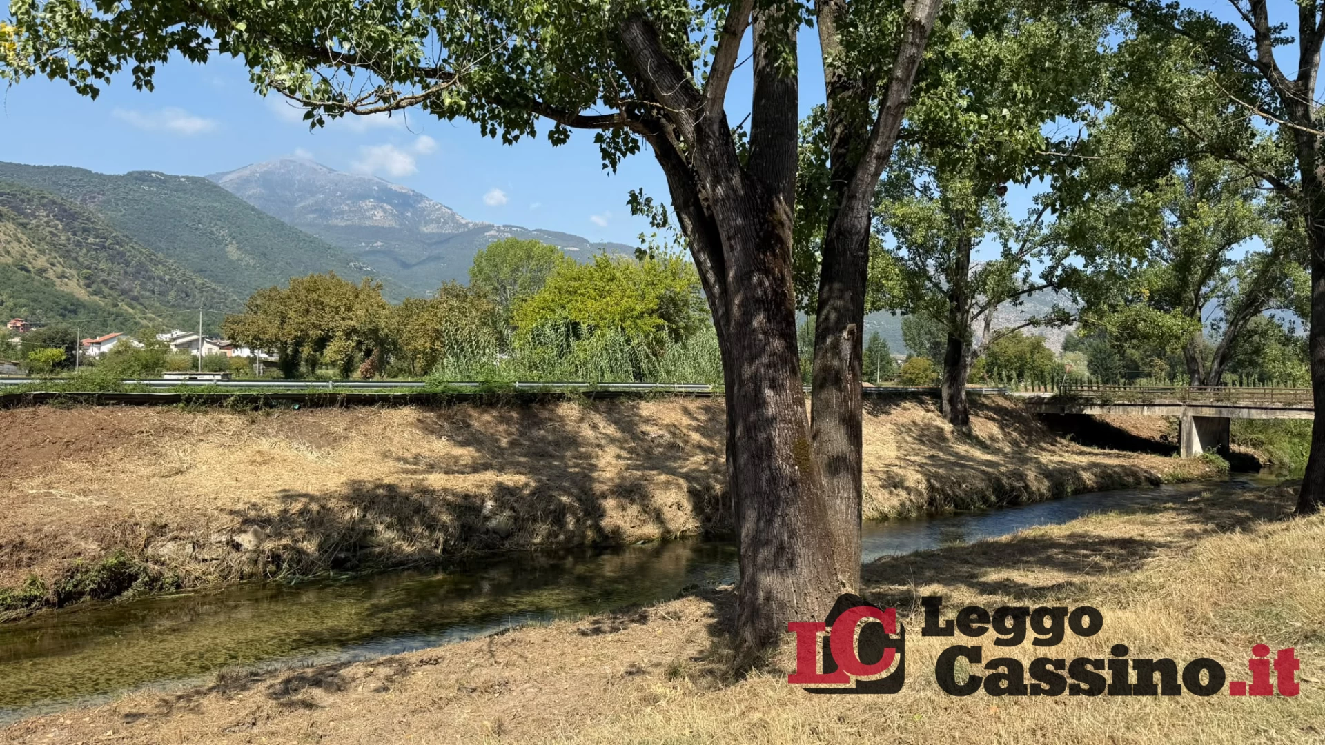 Lungofiume, controlli sugli alberi dopo il crollo a Ingegneria: "Tagli solo dove necessario e nuove piantumazioni"