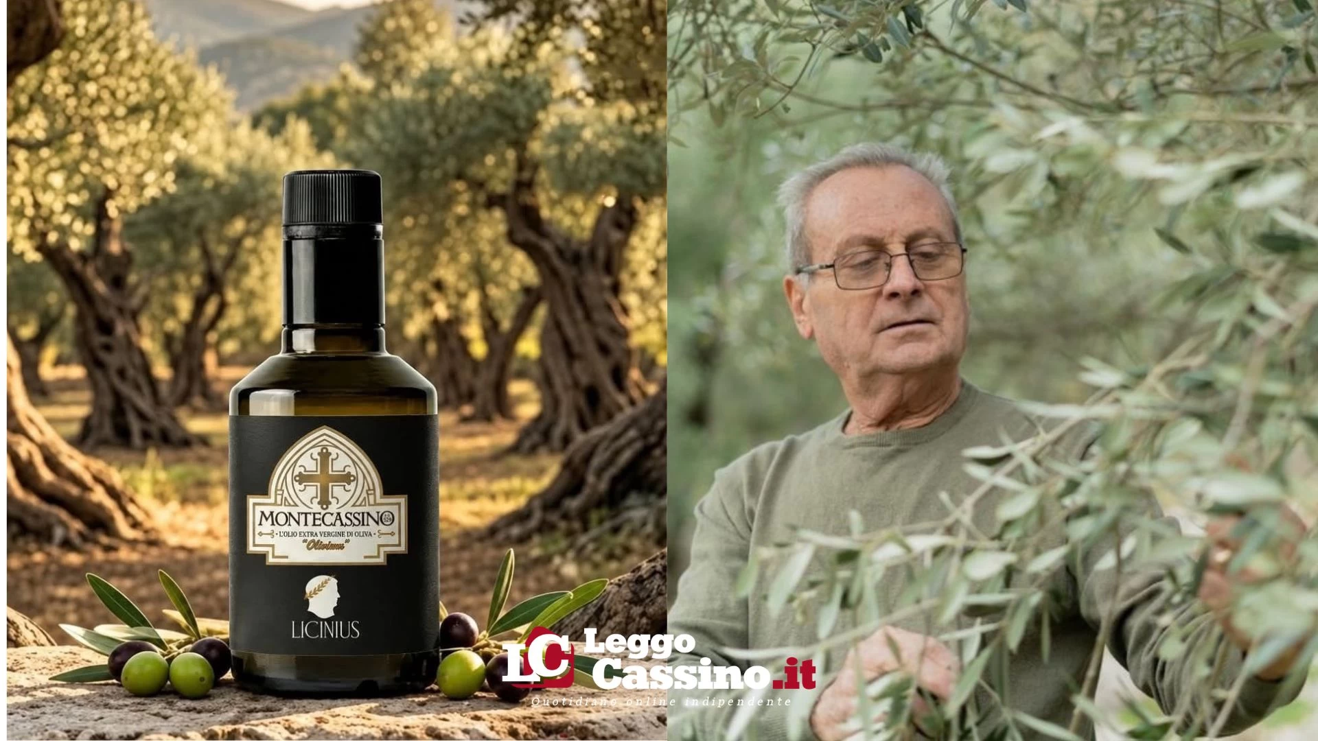 Nasce l'olio Montecassino: l'eccellenza pluripremiata di Licinius incontra la Tenuta Albaneta
